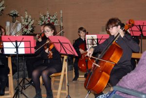 Concierto de Santa Cecilia - Orquesta